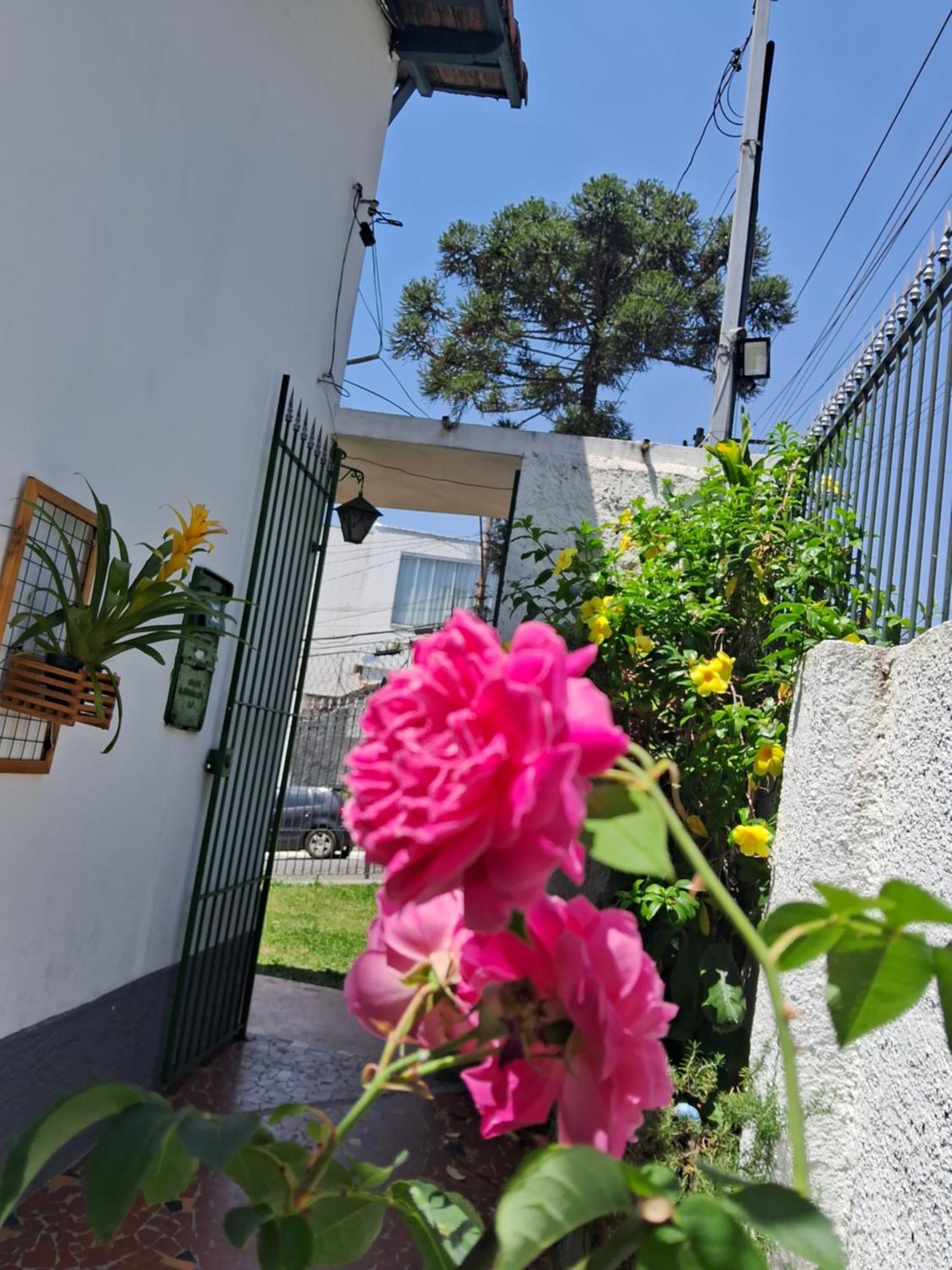 Casa Terrea Sp Expo E C Paralimpico São Paulo Eksteriør bilde